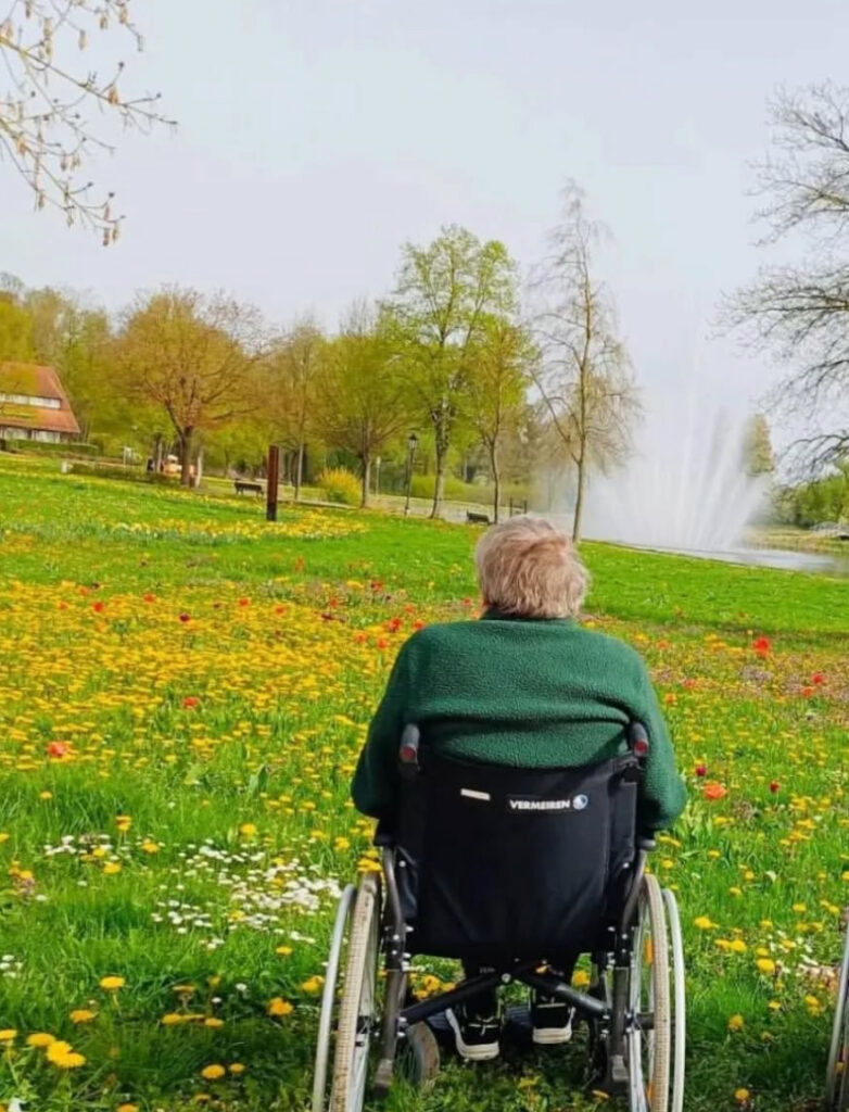 Rollstuhl auf Wiese in Wittstock